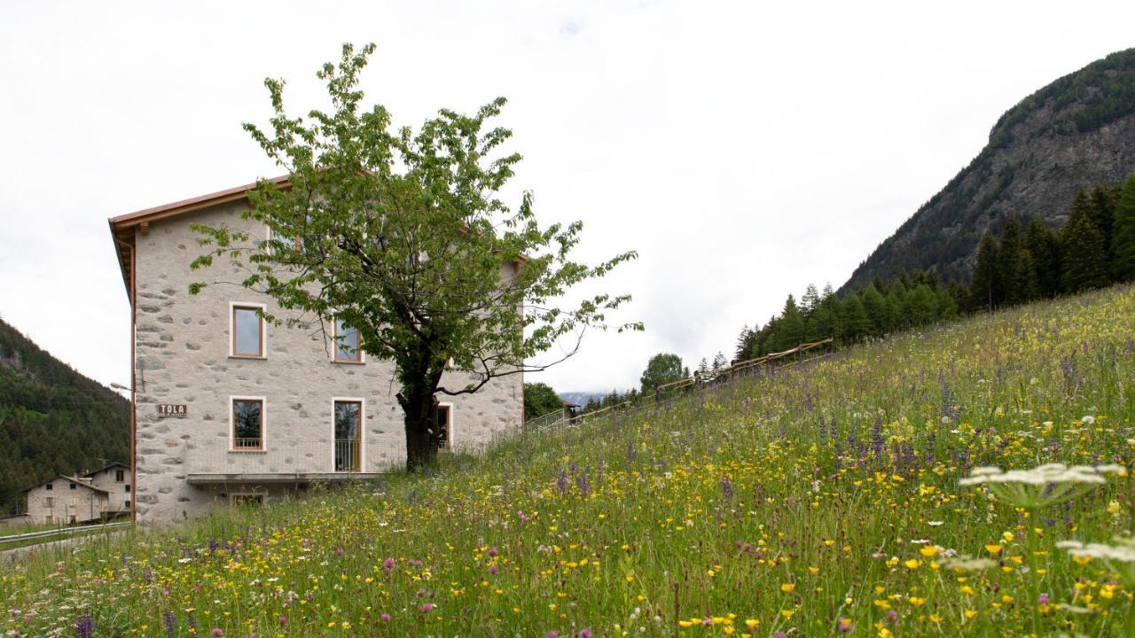 Italianway - Villa Tola Valdisotto Exterior foto